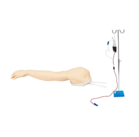 完整静脉穿刺手臂模型